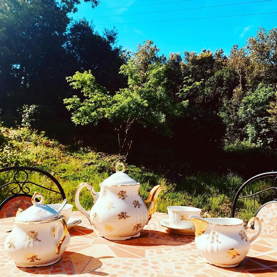B&B La Fucinaia Pet Friendly Adults Only Campiglia Marittima