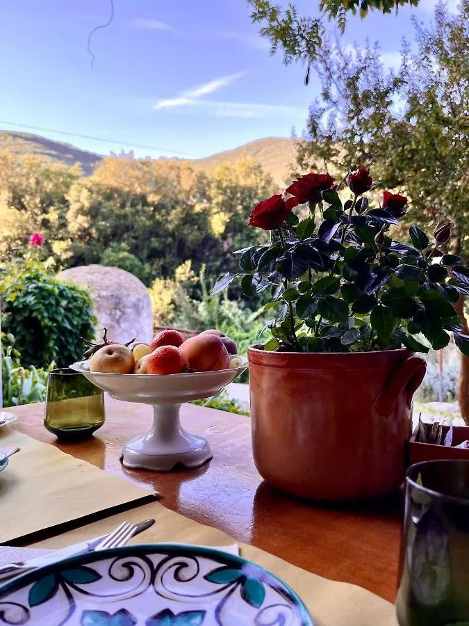B&B La Fucinaia Pet Friendly Adults Only Campiglia Marittima Oda ve Kahvaltı