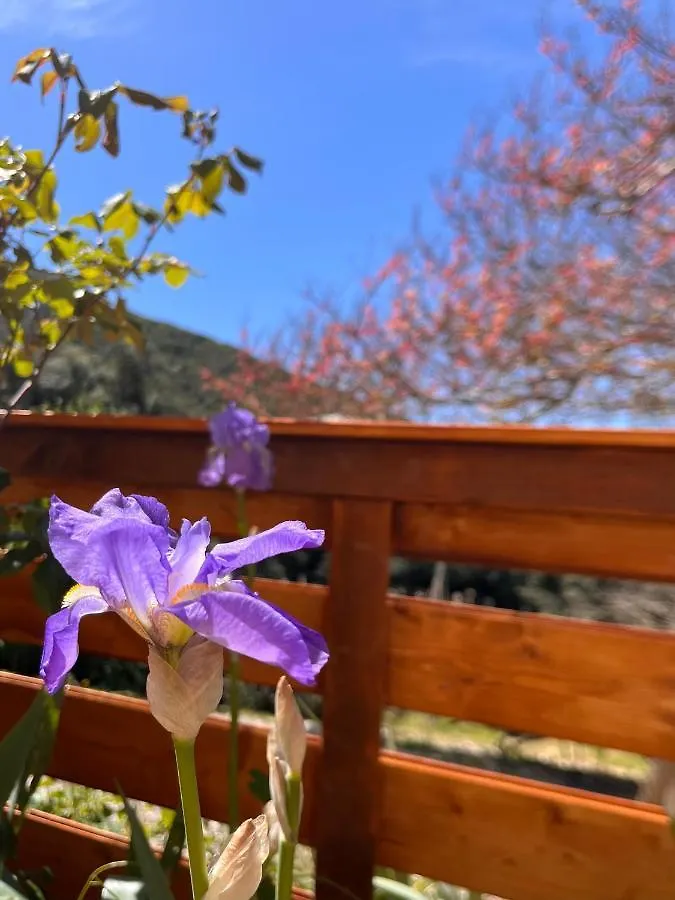 Oda ve Kahvaltı B&B La Fucinaia Pet Friendly Adults Only Campiglia Marittima İtalya