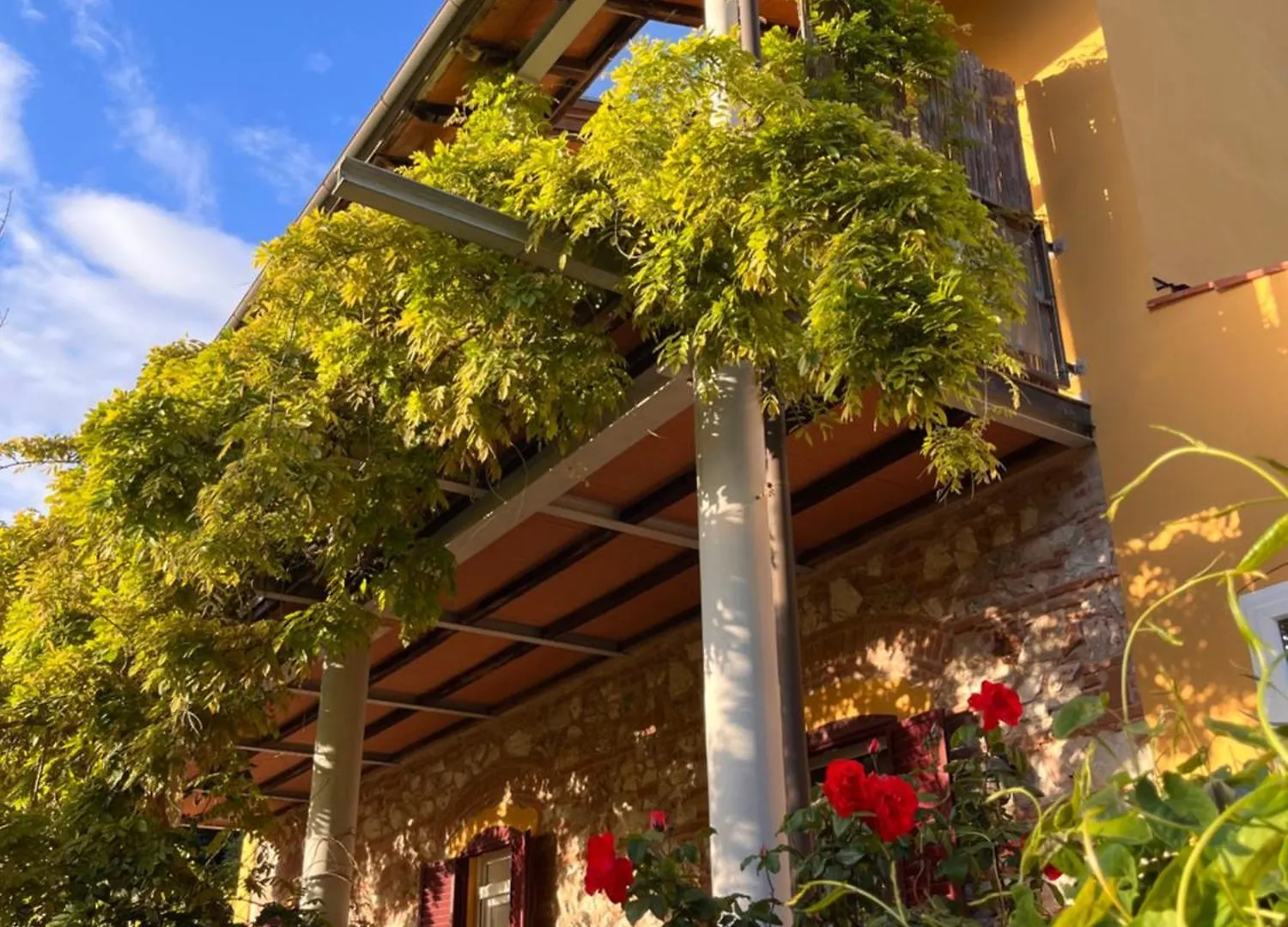 B&B La Fucinaia Pet Friendly Adults Only Campiglia Marittima İtalya
