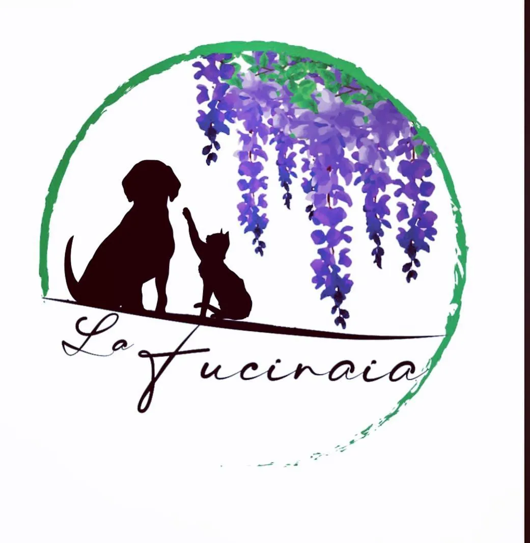 B&B La Fucinaia Pet Friendly Adults Only Campiglia Marittima Oda ve Kahvaltı
