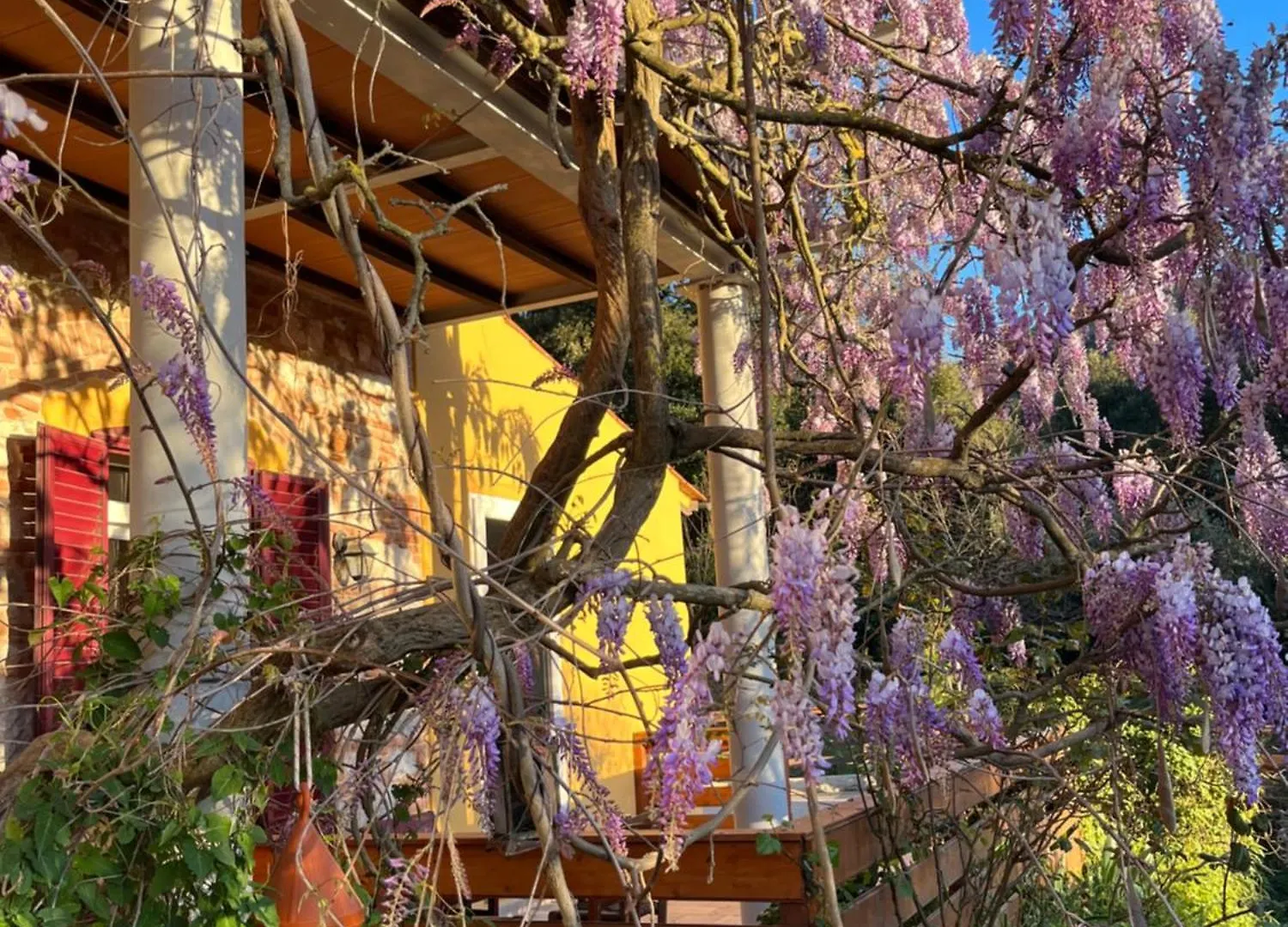 B&B La Fucinaia Pet Friendly Adults Only Campiglia Marittima 0*,