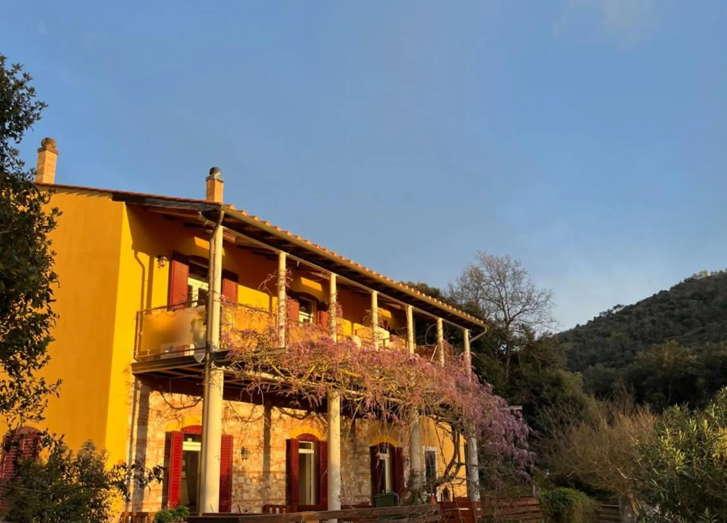 Oda ve Kahvaltı B&B La Fucinaia Pet Friendly Adults Only Campiglia Marittima İtalya