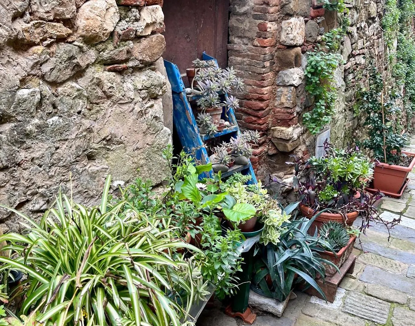 B&B La Fucinaia Pet Friendly Adults Only Campiglia Marittima