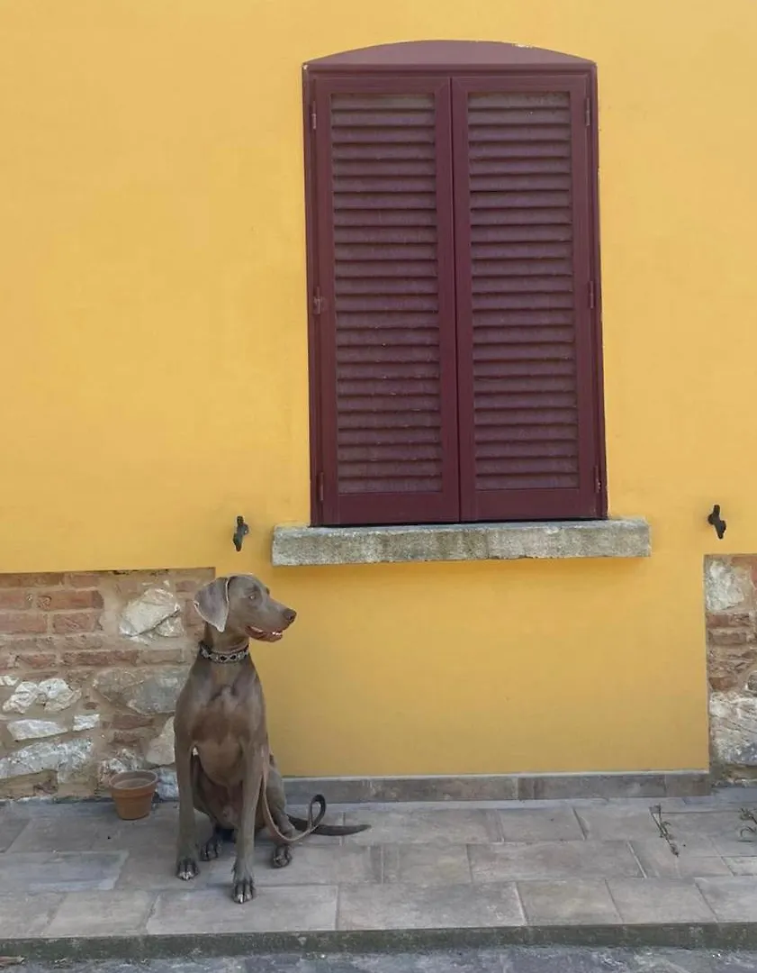 B&B La Fucinaia Pet Friendly Adults Only Campiglia Marittima 0*,  İtalya